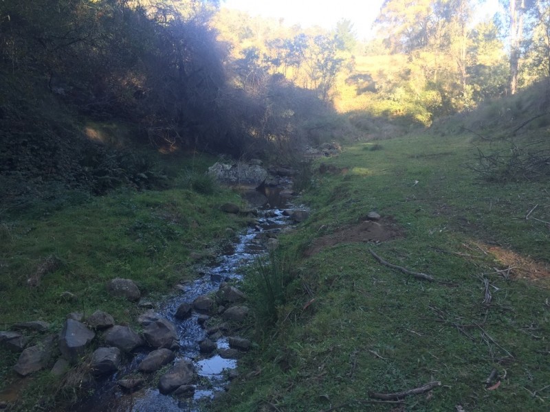 Lot 1 Old Tumbarumba Road, Batlow NSW 2730