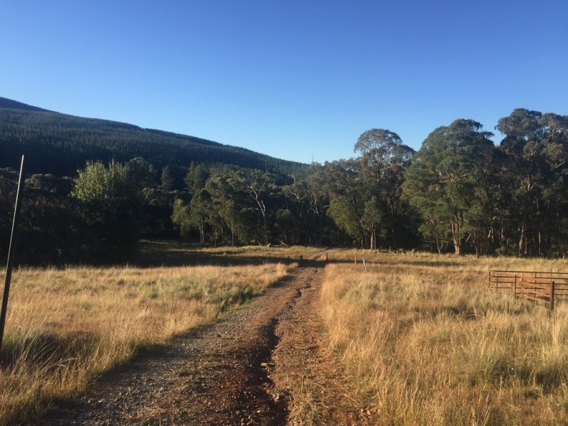 Lot 1 Old Tumbarumba Road, Batlow NSW 2730