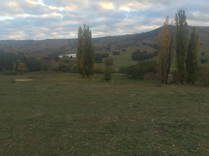 723 East Gilmore Road, Tumut NSW 2720