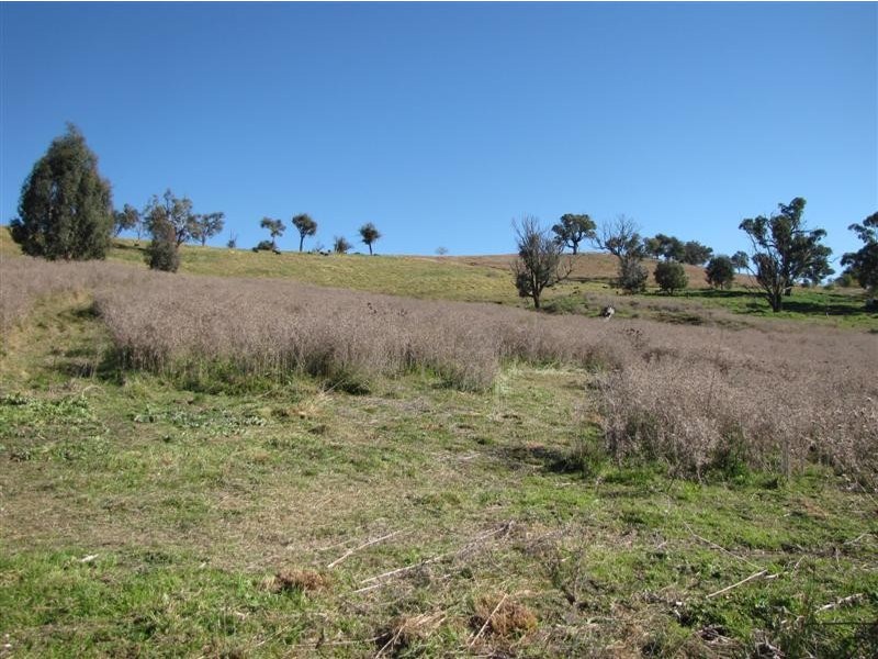 1320 Wondalga Road, Tumut NSW 2720