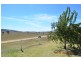 379 Gadara Lane Gilmore, Tumut NSW 2720