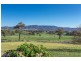 425 Lacmalac Road, Tumut NSW 2720
