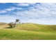 1925 Gocup Road, Tumut NSW 2720