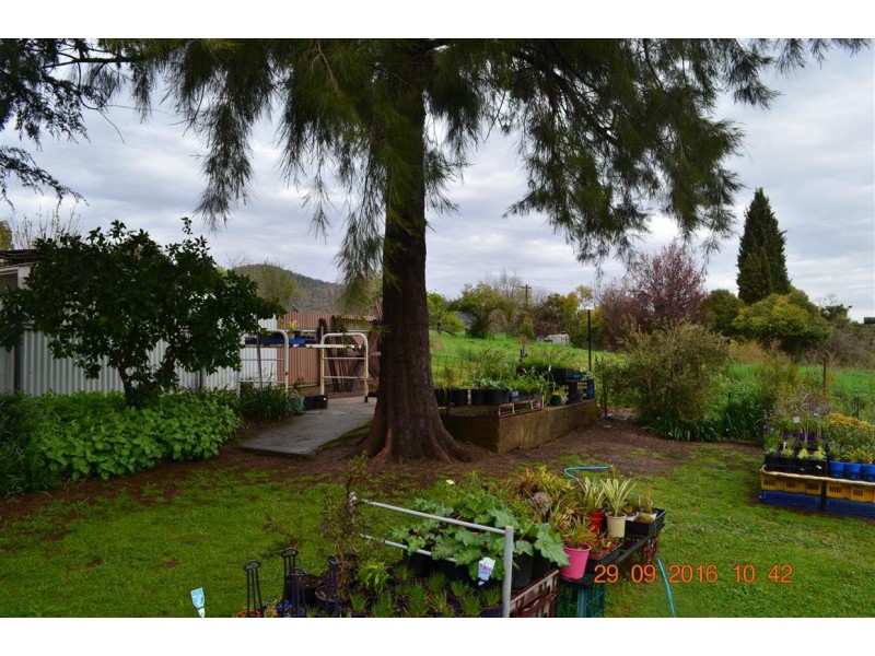 19 Lockhart Street, Adelong NSW 2729