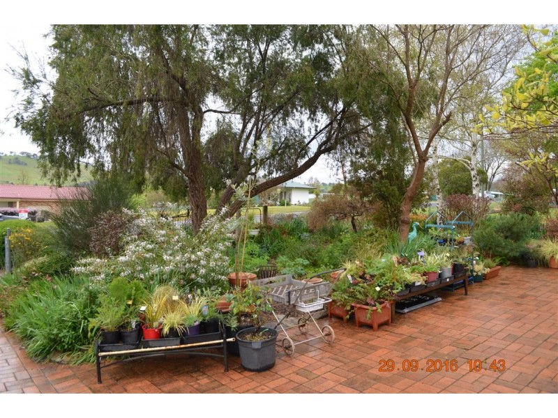 19 Lockhart Street, Adelong NSW 2729