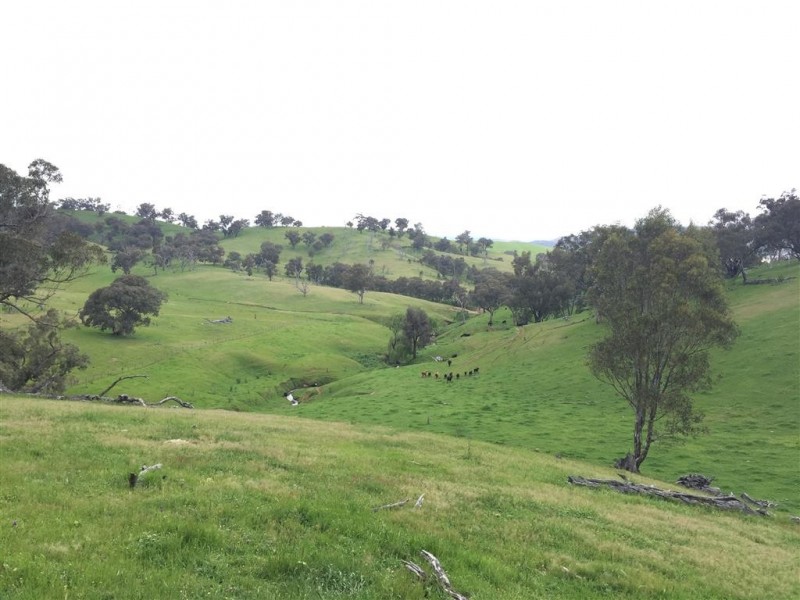 3938 Snowy Mountains Highway, Adelong NSW 2729