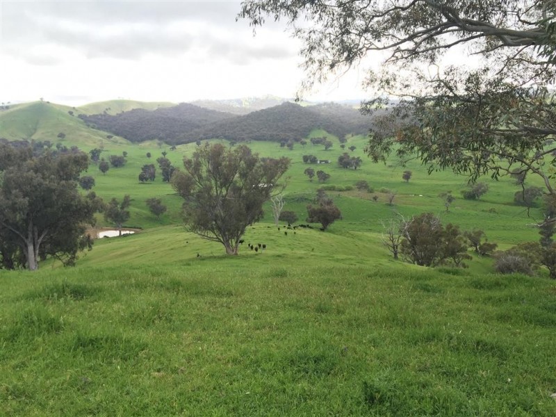 3938 Snowy Mountains Highway, Adelong NSW 2729