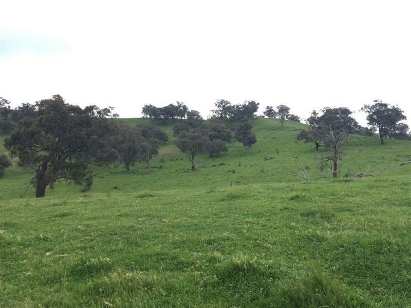 3938 Snowy Mountains Highway, Adelong NSW 2729