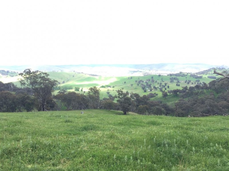 3938 Snowy Mountains Highway, Adelong NSW 2729