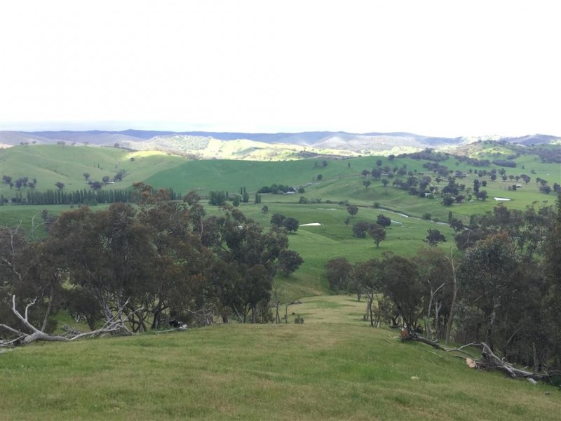 3938 Snowy Mountains Highway, Adelong NSW 2729