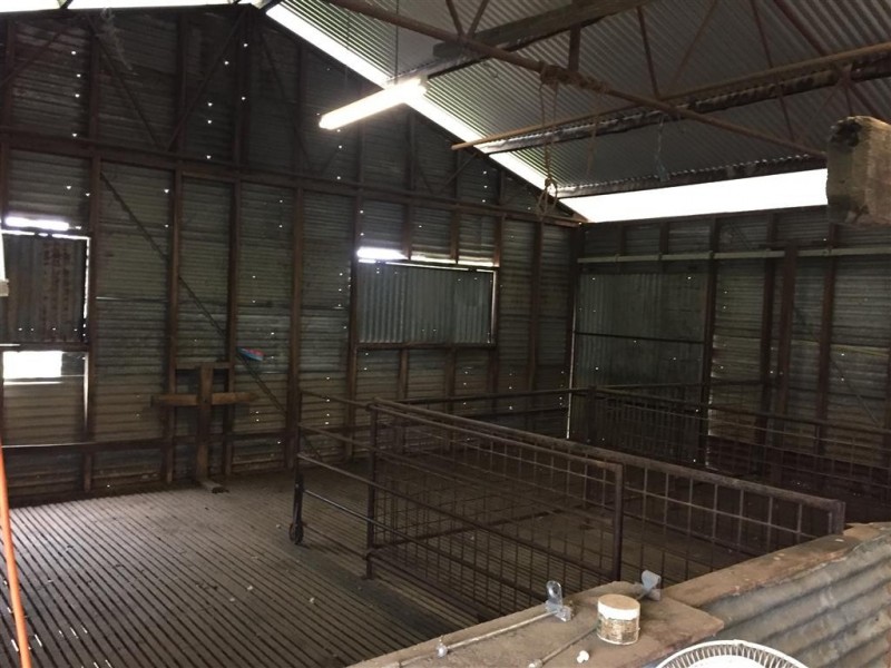 3938 Snowy Mountains Highway, Adelong NSW 2729