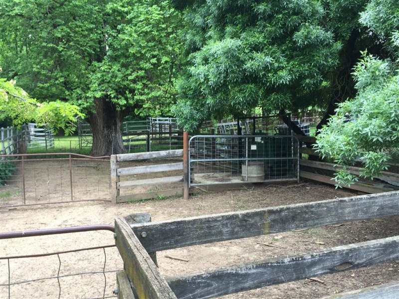 3938 Snowy Mountains Highway, Adelong NSW 2729