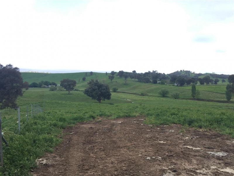 3938 Snowy Mountains Highway, Adelong NSW 2729