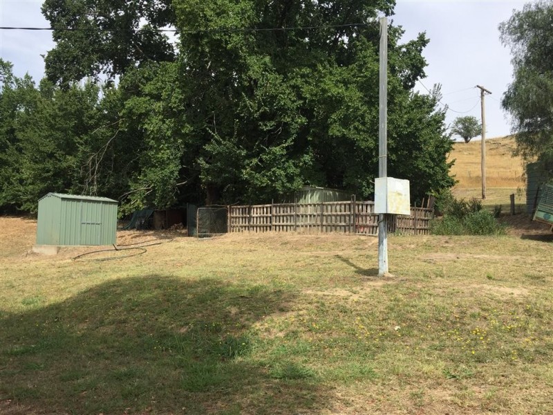 224 Back Sandy Gully Road, Adelong NSW 2729