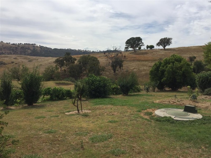 224 Back Sandy Gully Road, Adelong NSW 2729