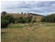 224 Back Sandy Gully Road, Adelong NSW 2729