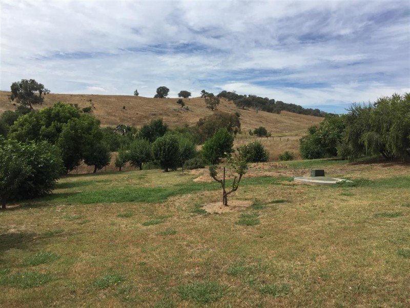 224 Back Sandy Gully Road, Adelong NSW 2729