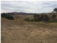 224 Back Sandy Gully Road, Adelong NSW 2729