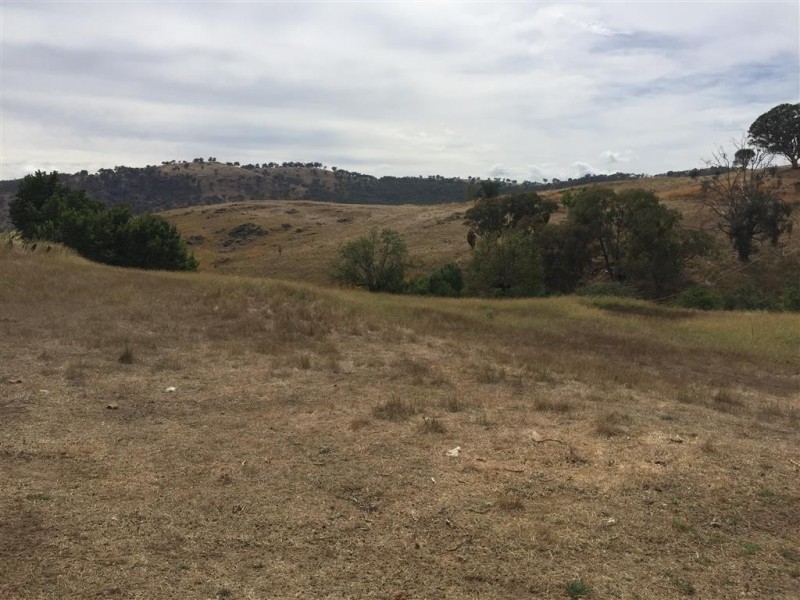 224 Back Sandy Gully Road, Adelong NSW 2729