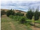 224 Back Sandy Gully Road, Adelong NSW 2729