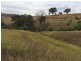 224 Back Sandy Gully Road, Adelong NSW 2729