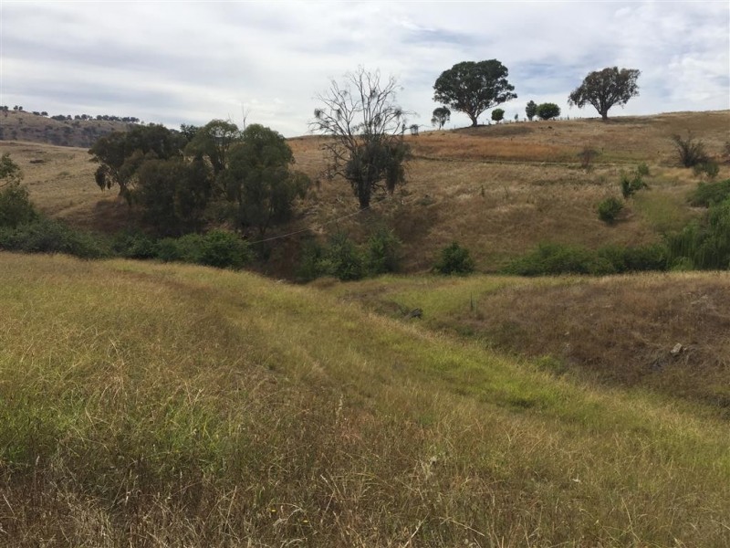 224 Back Sandy Gully Road, Adelong NSW 2729