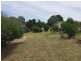 224 Back Sandy Gully Road, Adelong NSW 2729