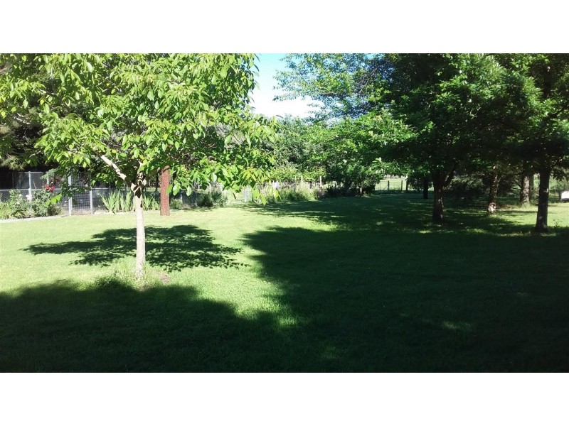 21 Cromwell Street, Adelong NSW 2729