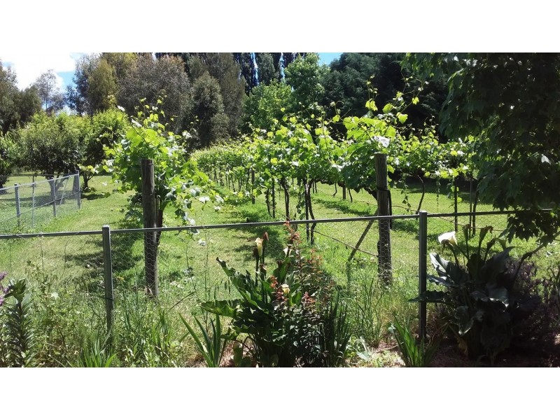 21 Cromwell Street, Adelong NSW 2729