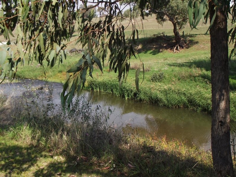 21 Cromwell Street, Adelong NSW 2729