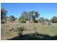 699 Wee Jasper Road, Tumut NSW 2720