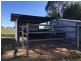 1817 Adelong Road, Tumblong NSW 2729