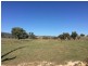 1817 Adelong Road, Tumblong NSW 2729