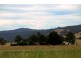 1817 Adelong Road, Tumblong NSW 2729