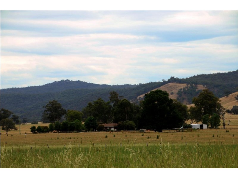 1817 Adelong Road, Tumblong NSW 2729