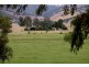 1817 Adelong Road, Tumblong NSW 2729