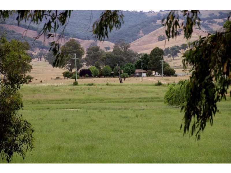 1817 Adelong Road, Tumblong NSW 2729