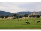 1817 Adelong Road, Tumblong NSW 2729