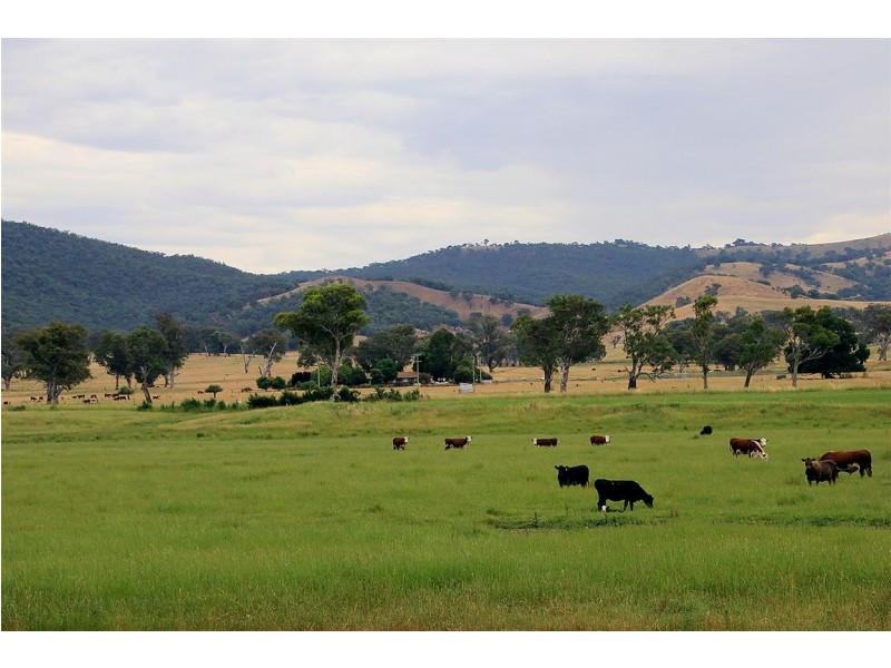1817 Adelong Road, Tumblong NSW 2729