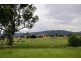1817 Adelong Road, Tumblong NSW 2729