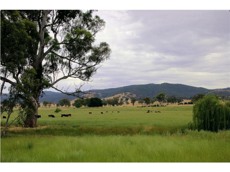 1817 Adelong Road, Tumblong NSW 2729