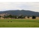 1817 Adelong Road, Tumblong NSW 2729