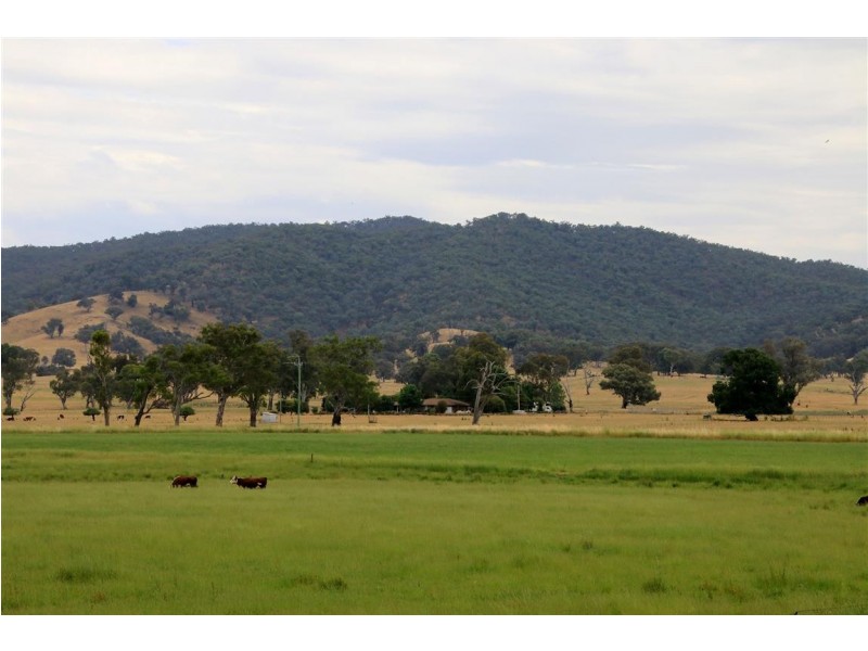 1817 Adelong Road, Tumblong NSW 2729