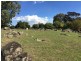 Lot 3 Gundagai Street, Adelong NSW 2729