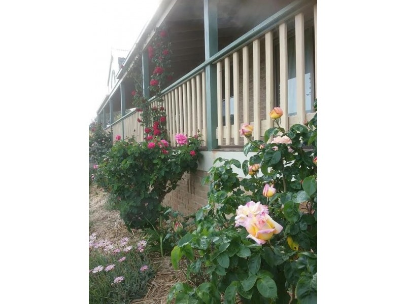 224 Morgans Reserve Road, Tumut NSW 2720