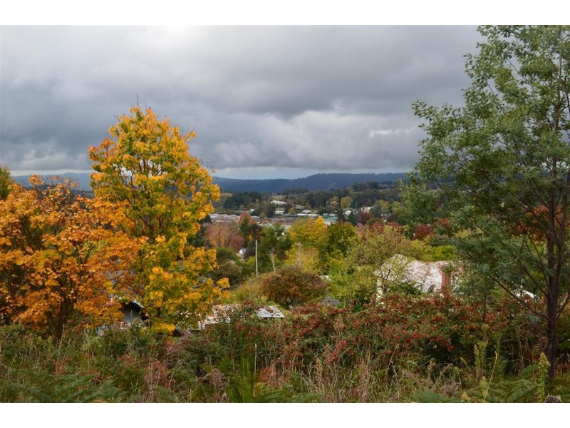 1 Ash Street, Batlow NSW 2730