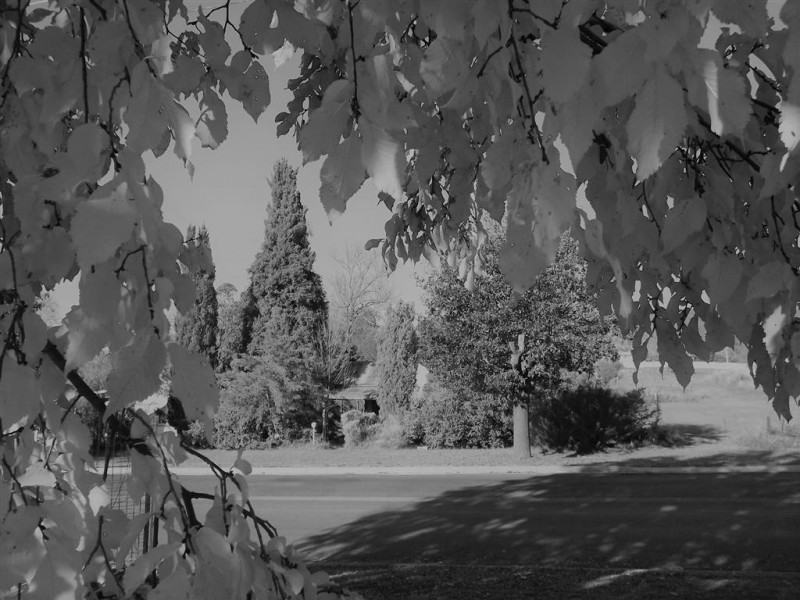 19 Campbell, Adelong NSW 2729