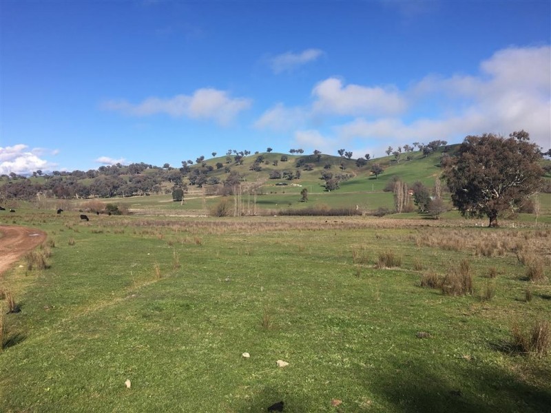 Lot 98 Withers Lane, Tumut NSW 2720