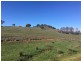 Lot 98 Withers Lane, Tumut NSW 2720