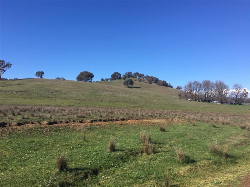 Lot 98 Withers Lane, Tumut NSW 2720